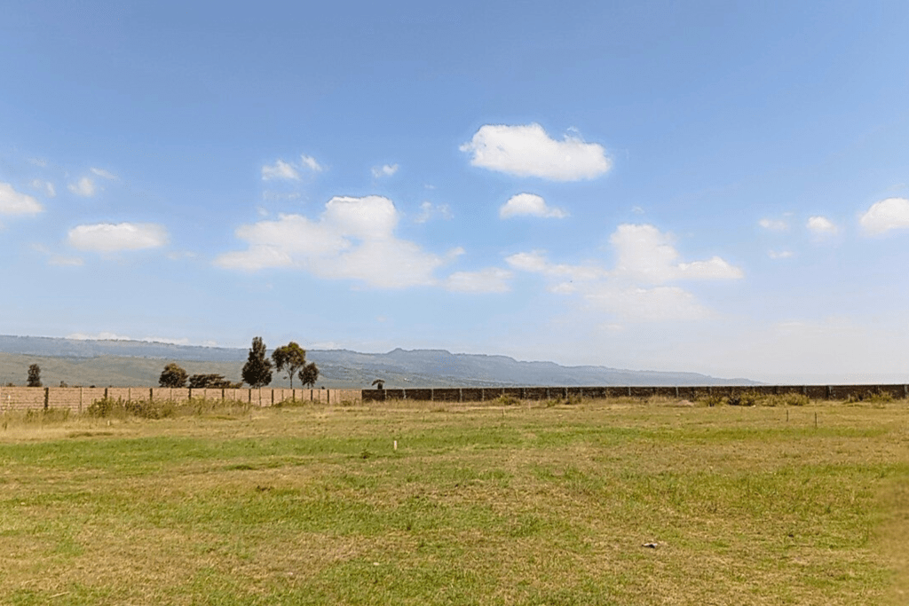 Land investment types of real estate in Kenya vacant plots